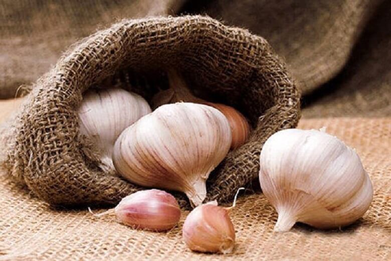 سیر را باید پس از ۴۰ سالگی بخوریم.