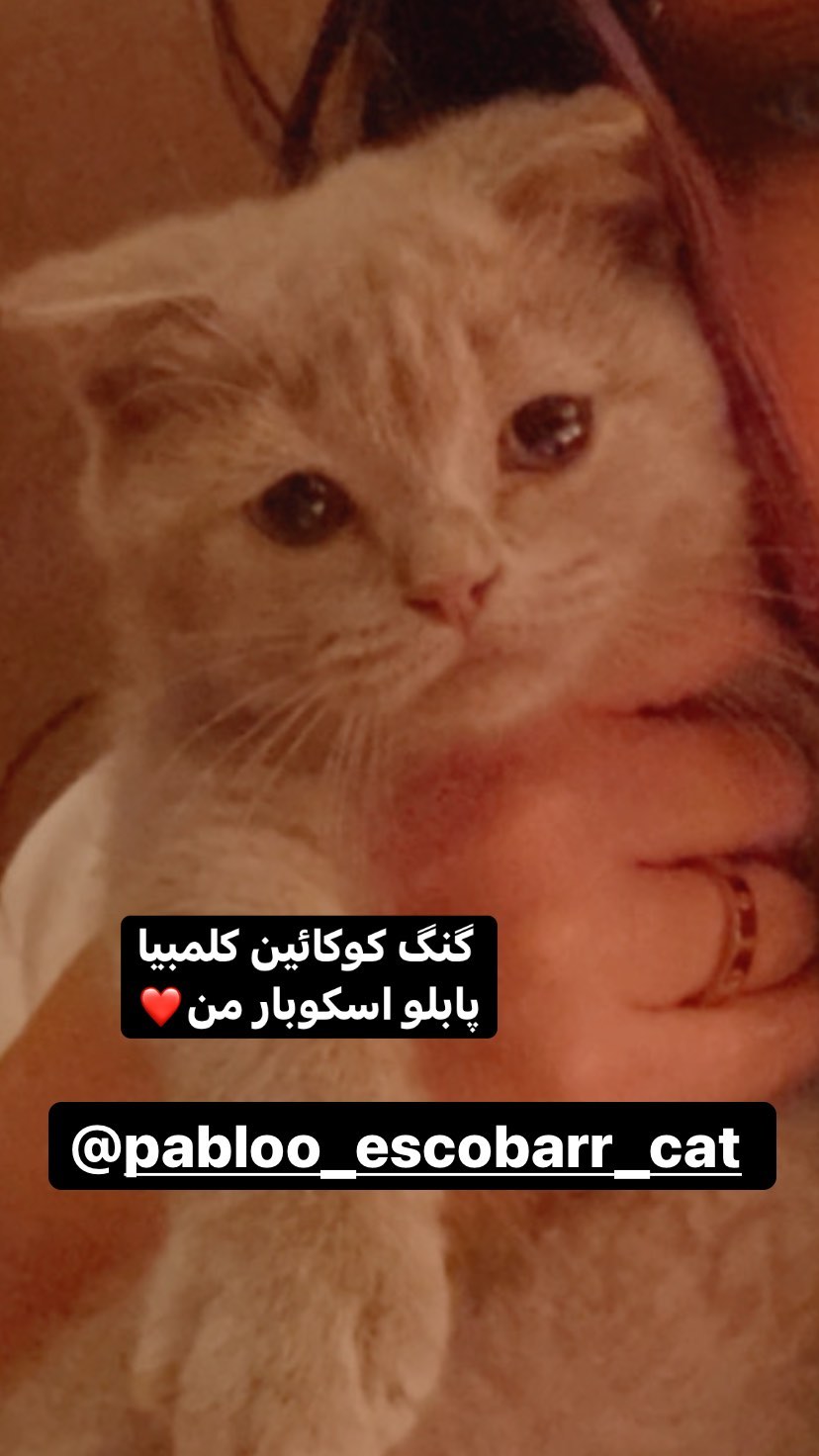 تبلیغ عجیب بهنوش بختیاری برای صفحه حیوان خانگی اش!