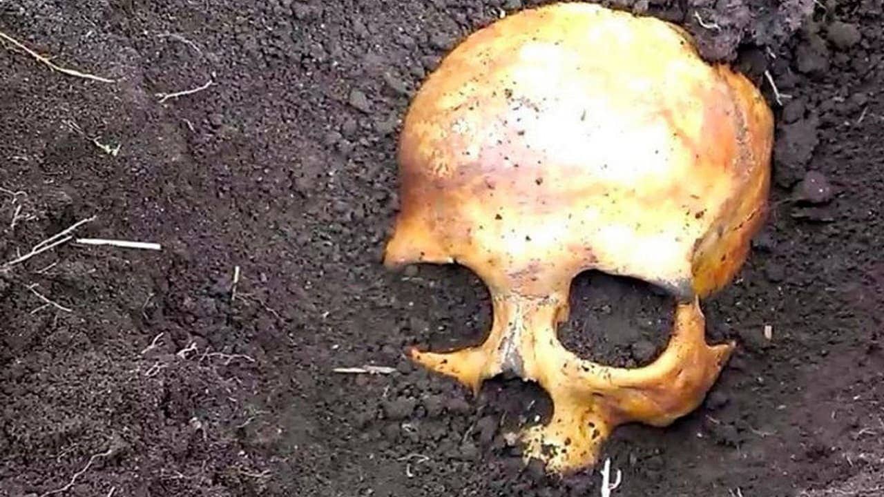 اولین عکس ها از جمجمه نادر شاه اولین عکس ها از جمجمه نادر شاه