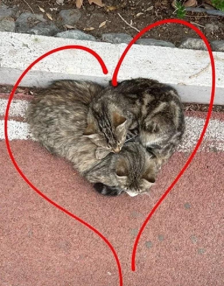 لاله مرزبان از عشق‌های زندگی‌اش رونمایی کرده است.