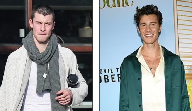 ظاهر متفاوت شان مندز