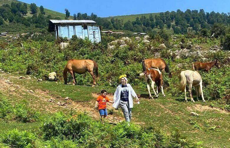 بهنوش طباطبایی در گشت و گذار با اسب‌های وحشی دیده شد.